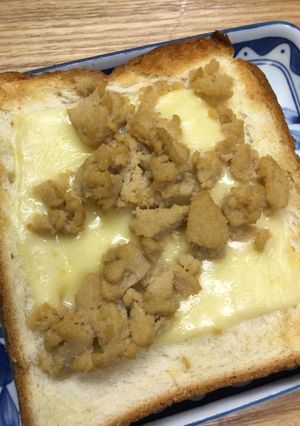 こうや豆腐のそぼろのチーズトースト-レシピのメイン写真