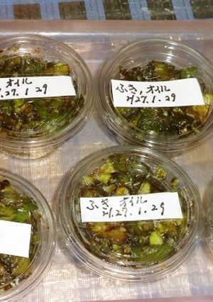 蕗の薹を夏の食材に保存-レシピのメイン写真
