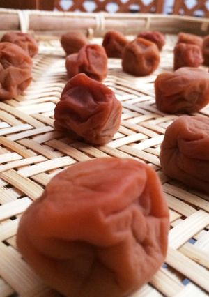簡単☆ジップロックを使う梅干しの作り方-レシピのメイン写真