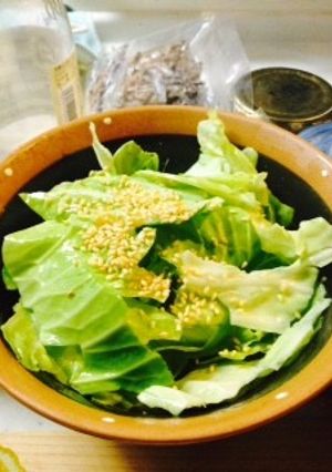 ごま塩キャベツ-レシピのメイン写真