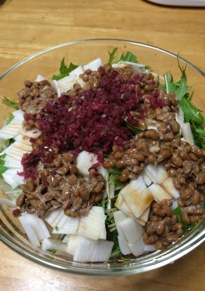ヘルシー簡単おかず水菜のねばねばサラダ♪-レシピのメイン写真