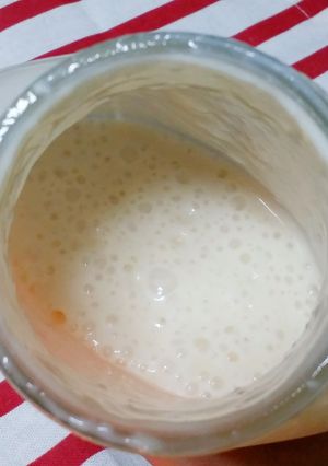 余った酒粕で酒種♪-レシピのメイン写真
