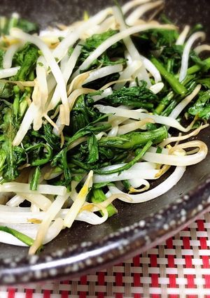 レンジで2分！春菊ともやしの和風蒸し-レシピのメイン写真