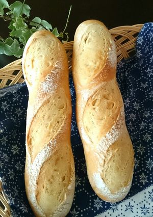 自家製酵母☆フランスパン(バタール)★-レシピのメイン写真