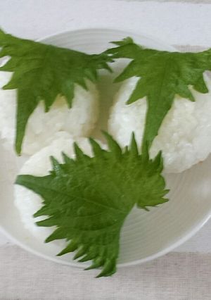 ゆず塩おにぎり青じそ巻き-レシピのメイン写真