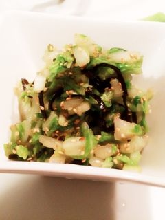 白菜サラダ-レシピのメイン写真