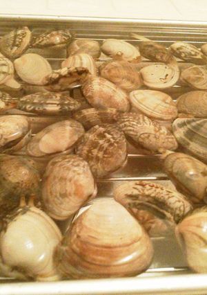 あさりの旬＊砂抜き＊冷凍保存-レシピのメイン写真