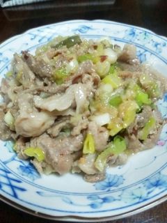 葱たっぷり食べたい時の甘辛豚肉炒め-レシピのメイン写真
