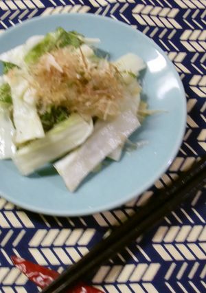 二度漬けした白菜づけ-レシピのメイン写真