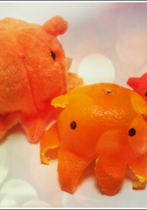 ギョギョっと深海魚❣❣メンダコみかん-レシピのメイン写真