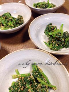 ほうれん草のごまあえ-レシピのメイン写真