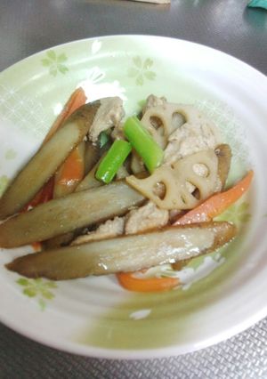 ごぼうたっぷり煮物-レシピのメイン写真