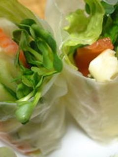 生春巻き(サーモン&チーズ&貝割れ大根)-レシピのメイン写真