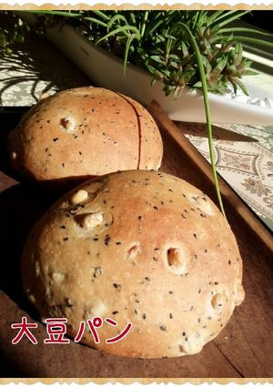 大豆&きなこパン-レシピのメイン写真