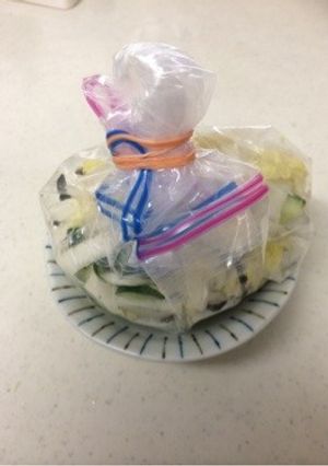 ストックバッグで浅漬け-レシピのメイン写真