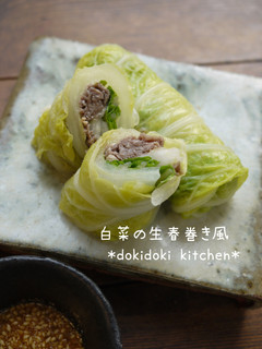白菜の生春巻き風-レシピのメイン写真