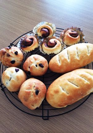 白神こだま酵母のクランベリーチーズパン-レシピのメイン写真