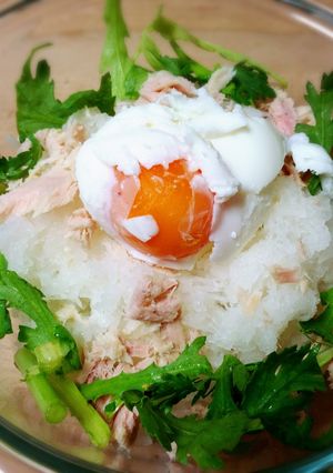 ツナと大根おろしの丼-レシピのメイン写真