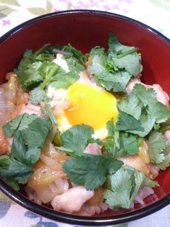 ♪和スニックな親子丼♪-レシピのメイン写真