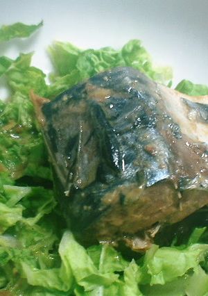 白菜とサバ缶のホットサラダ-レシピのメイン写真