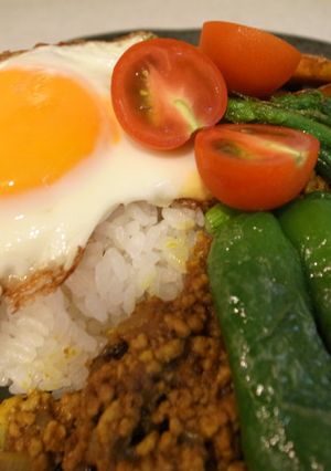 肉好きのドライカレー-レシピのメイン写真