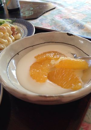 はっさく蜂蜜ヨーグルト-レシピのメイン写真