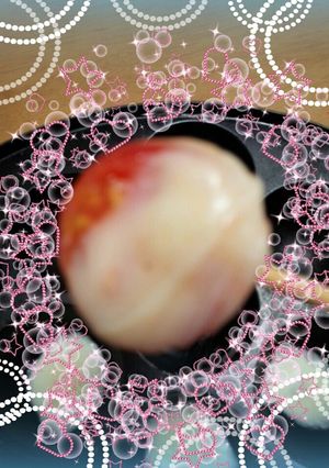 超お手軽！たこ焼き器deチーズフォンデュ-レシピのメイン写真