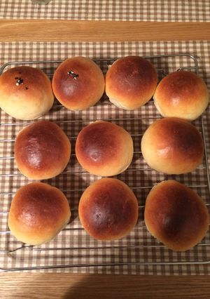 パン生地-レシピのメイン写真