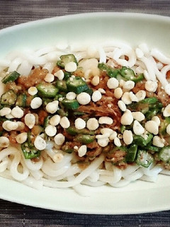 梅オクラ納豆ぶっかけうどん-レシピのメイン写真