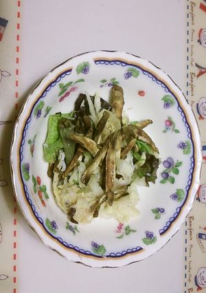 キャベツとしらすのごぼうチップスサラダ-レシピのメイン写真