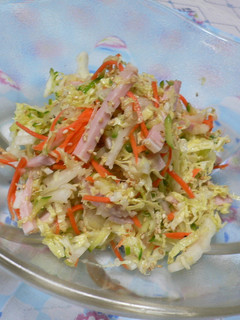 たくさん食べちゃう白菜サラダ-レシピのメイン写真