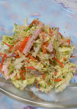 たくさん食べちゃう白菜サラダ-レシピのメイン写真