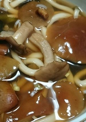 3種冷凍キノコとわかめの煮込みうどん-レシピのメイン写真