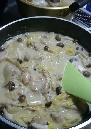 白菜と鶏モモ肉のクリーム煮-レシピのメイン写真
