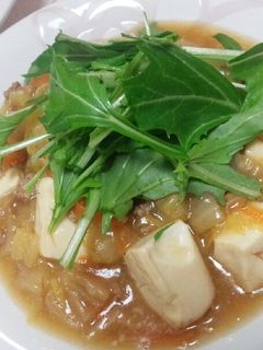 たっぷり白菜の餡かけ大根餅-レシピのメイン写真