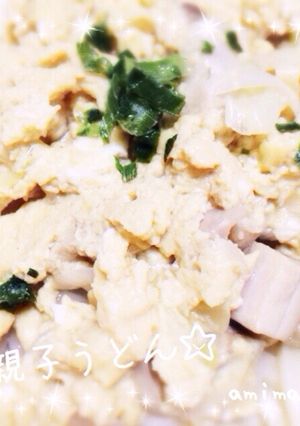 余り物で親子うどん-レシピのメイン写真