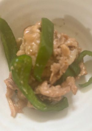 ピーマンと豚肉の簡単炒め😋-レシピのメイン写真