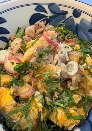 【簡単さっぱり】薬味たっぷりコロッケ丼-レシピのメイン写真