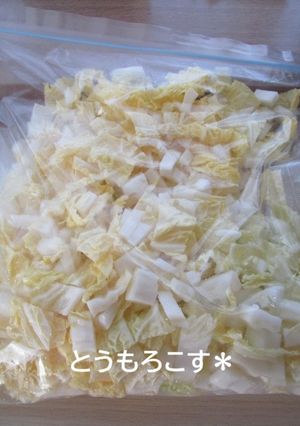 白菜・キャベツを冷凍＊覚書-レシピのメイン写真