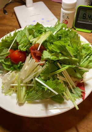 サラダソーメン-レシピのメイン写真