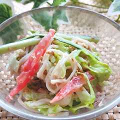 รูปของ 余った素麺でさっぱり♪こまだれサラダ