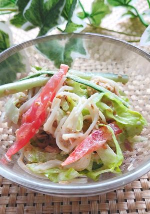 余った素麺でさっぱり♪こまだれサラダ-レシピのメイン写真
