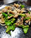 茄子とピーマンと豚肉の味噌炒め