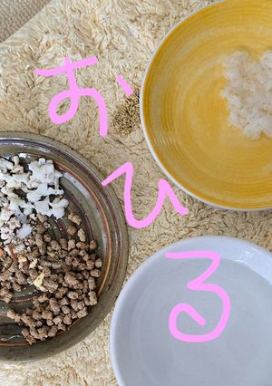 シーさんの昼ごはん(12：00)-レシピのメイン写真