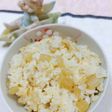 簡単油揚げ入りふきご飯1合
