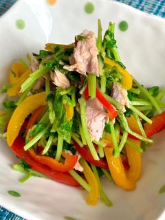 豆苗とパプリカのサッと炒め♪-レシピのメイン写真