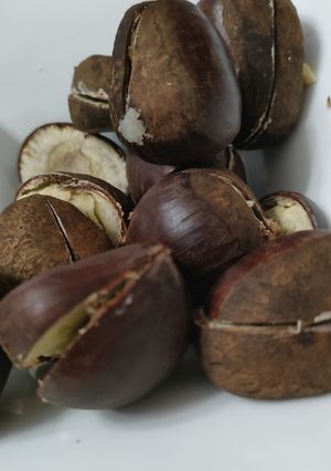 生の栗の茹で方-レシピのメイン写真