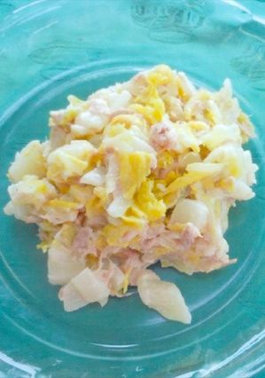 【食改】白菜とツナのサラダ-レシピのメイン写真