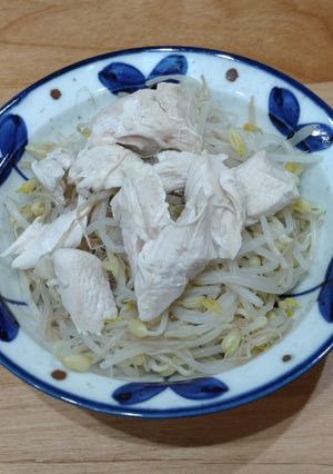 鶏ささみともやしのサラダ-レシピのメイン写真