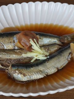イワシの梅生姜煮-レシピのメイン写真
